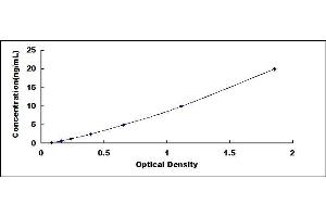 Typical standard curve (RYR2 ELISA 试剂盒)