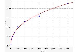 Typical standard curve (WNT1 ELISA 试剂盒)