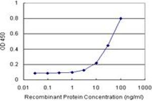 Sandwich ELISA detection sensitivity ranging from 3 ng/mL to 100 ng/mL. (BATF (人) Matched Antibody Pair)
