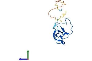 AlphaFold protein structure predicition of Human Recombinant EIF4EBP2 Protein, UniprotID Q13542