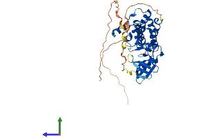 Protein Structure (PS) image for Tribbles Homolog 3 (Drosophila) (TRIB3) (AA 1-358) protein (His tag) (ABIN7555855)