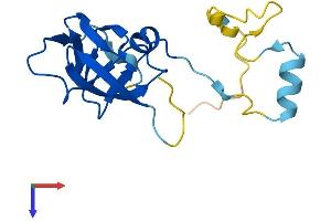 Protein Structure (PS) image for Endogenous Retrovirus Group K, Member 6 (ERVK-6) (AA 1-156) protein (His tag) (ABIN7545162)