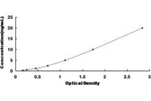 Typical standard curve (COL12A1 ELISA 试剂盒)