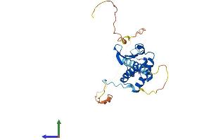 AlphaFold protein structure predicition of Mouse Recombinant Btg4 Protein, UniprotID O70552