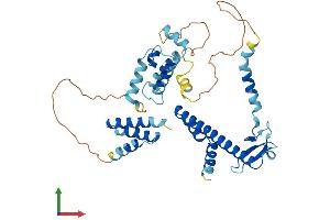 AlphaFold protein structure predicition of Human Recombinant DNAJB14 Protein, UniprotID Q8TBM8