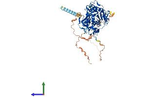 Protein Structure (PS) image for Mannosyl (Beta-1,4-)-Glycoprotein beta-1,4-N-Acetylglucosaminyltransferase (MGAT3) (AA 1-533) protein (His tag) (ABIN7554535)