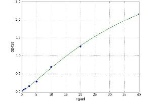 Calpain 1, Large Subunit (CAPNL1) ELISA Kit