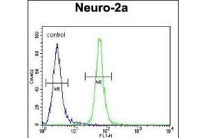 TMEM65 Antibody (N-term) (ABIN654318 and ABIN2844101) flow cytometric analysis of Neuro-2a cells (right histogram) compared to a negative control cell (left histogram). (TMEM65 抗体  (N-Term))