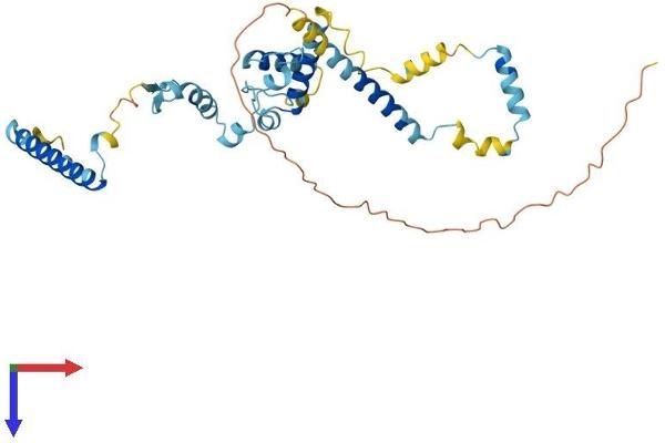 SNRNP48 Protein (AA 1-339) (His tag)
