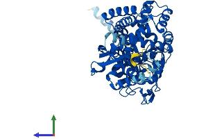 Protein Structure (PS) image for Prostaglandin I2 (Prostacyclin) Synthase (PTGIS) (AA 1-500) protein (His tag) (ABIN7551043)