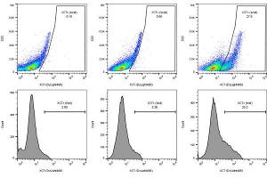 Flow Cytometry (FACS) image for anti-Solute Carrier Family 7, (Cationic Amino Acid Transporter, Y+ System) Member 11 (SLC7A11) antibody (ABIN6655337)