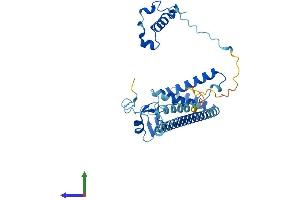 Protein Structure (PS) image for Menage A Trois Homolog 1, Cyclin H Assembly Factor (Xenopus Laevis) (MNAT1) (AA 1-309) protein (His tag) (ABIN7549198)
