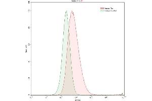 Detection of Trx in HepG2 human hepatocellular carcinoma cell line using Polyclonal Antibody to Thioredoxin (Trx) (TXN 抗体  (AA 1-105))