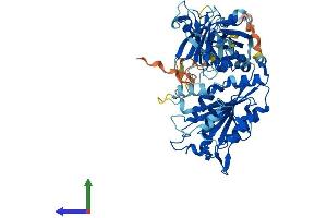 Protein Structure (PS) image for Copine V (CPNE5) (AA 1-593) protein (His tag) (ABIN7559410)