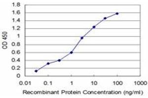 Detection limit for recombinant GST tagged NMI is approximately 0. (NMI 抗体  (AA 1-100))