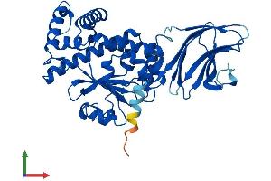 Protein Structure (PS) image for SEC14-Like 2 (SEC14L2) (AA 1-403) protein (His tag) (ABIN7560291)