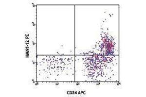 Flow Cytometry (FACS) image for anti-Notch 1 (NOTCH1) antibody (PE) (ABIN2663854) (Notch1 抗体  (PE))