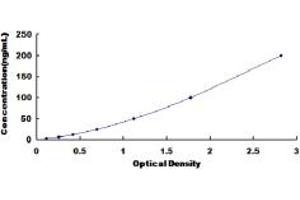Typical standard curve (PIINP ELISA 试剂盒)