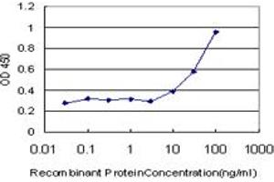 Detection limit for recombinant GST tagged ROPN1 is approximately 10ng/ml as a capture antibody. (ROPN1 抗体  (AA 1-120))