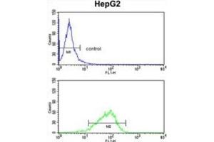 Flow Cytometry (FACS) image for anti-Glycerol-3-Phosphate Dehydrogenase 1 (Soluble) (GPD1) antibody (ABIN3003779) (GPD1 抗体)