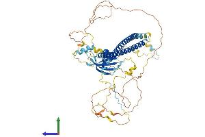 AlphaFold protein structure predicition of Human Recombinant PALMD Protein, UniprotID Q9NP74