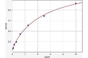 Typical standard curve (DDAH2 ELISA 试剂盒)