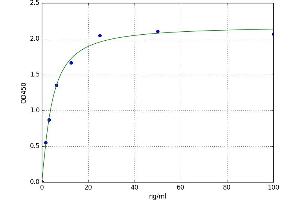 A typical standard curve (Prolactin ELISA 试剂盒)