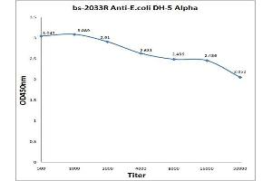 Antigen: 0. (E.Coli Dh-5 alpha 抗体)