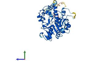 Protein Structure (PS) image for alpha 1, 4-Galactosyltransferase (A4GALT) (AA 1-359) protein (His tag) (ABIN7557874)