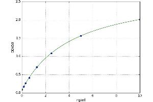 Tumor Necrosis Factor, alpha-Induced Protein 2 (TNFAIP2) ELISA Kit