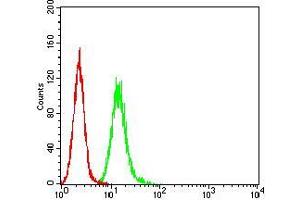 Flow Cytometry (FACS) image for anti-V-Ral Simian Leukemia Viral Oncogene Homolog B (Ras Related, GTP Binding Protein) (Ralb) (AA 89-206) antibody (ABIN5542684)