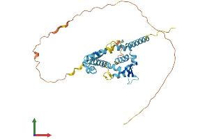 Protein Structure (PS) image for Necdin Homolog (Mouse) (NDN) (AA 1-325) protein (His tag) (ABIN7563006)