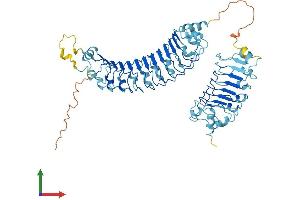 Protein Structure (PS) image for Leucine Rich Repeat Containing 40 (LRRC40) (AA 1-602) protein (His tag) (ABIN7549207)