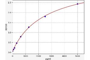 Typical standard curve (VKORC1 ELISA 试剂盒)