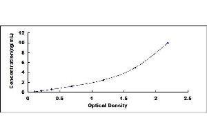 Typical standard curve (SFRP1 ELISA 试剂盒)