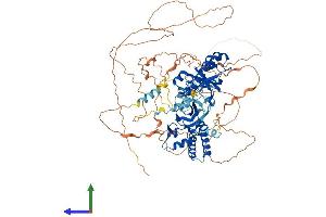 AlphaFold protein structure predicition of Mouse Recombinant Rnf10 Protein, UniprotID Q3UIW5 (RNF10 Protein (AA 1-804) (His tag))