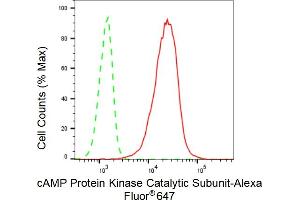 Flow cytometric analysis of cAMP Protein Kinase Catalytic Subunit expression in C2C12 cells using cAMP Protein Kinase Catalytic Subunit antibody (ABIN7797808), 1:2,000). (Recombinant C-AMP Protein Kinase (Catalytic Subunit) 抗体)