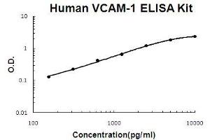 Human VCAM-1 PicoKine ELISA Kit standard curve (VCAM1 ELISA 试剂盒)