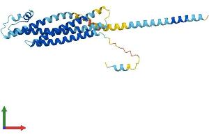 Protein Structure (PS) image for Syntaxin 2 (STX2) (AA 1-289) protein (His tag) (ABIN7556847)