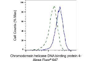 Validation of Chromodomain helicase DNA binding protein 4 knockdown using flow cytometry. (Recombinant Chromodomain Helicase DNA Binding 4 抗体)