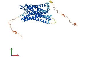 AlphaFold protein structure predicition of Human Recombinant P2RY4 Protein, UniprotID P51582