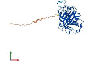 Protein Structure (PS) image for Carbonic Anhydrase VIII (CA8) (AA 1-290) protein (His tag) (ABIN7552796)