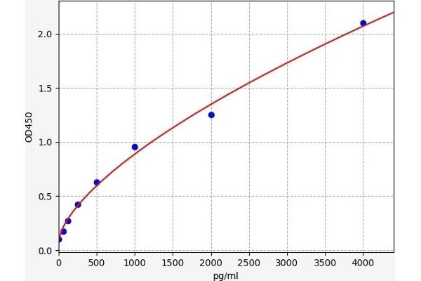 CNR2 ELISA 试剂盒