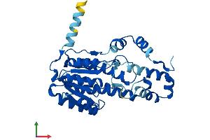 AlphaFold protein structure predicition of Human Recombinant SDR9C7 Protein, UniprotID Q8NEX9