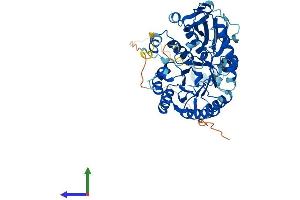 Protein Structure (PS) image for Solute Carrier Family 3 (Activators of Dibasic and Neutral Amino Acid Transport), Member 2 (SLC3A2) (AA 1-526) protein (His tag) (ABIN7562831)
