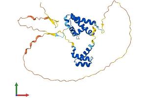Protein Structure (PS) image for POU Class 6 Homeobox 1 (POU6F1) (AA 1-301) protein (His tag) (ABIN7550927)