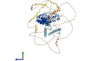 Protein Structure (PS) image for Espin (ESPN) (AA 1-871) protein (His tag) (ABIN7565069)