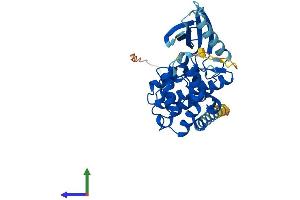 Protein Structure (PS) image for Cyclin-Dependent Kinase-Like 4 (CDKL4) (AA 1-342) protein (His tag) (ABIN7557108)
