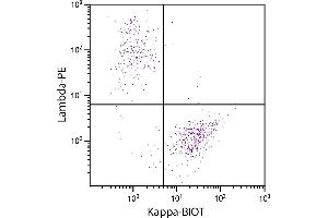 CD19+ human B-lymphocytes were stained with Goat Anti-Human Kappa-BIOT and Goat F(ab’)2 Anti-Human Lambda, Mouse ads-PE. (山羊 anti-人 Ig (Chain kappa) Antibody (Biotin))