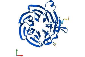 Protein Structure (PS) image for Budding Uninhibited By Benzimidazoles 3 Homolog (Yeast) (BUB3) (AA 1-328) protein (His tag) (ABIN7552820)